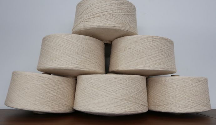 Sợi OE CVC